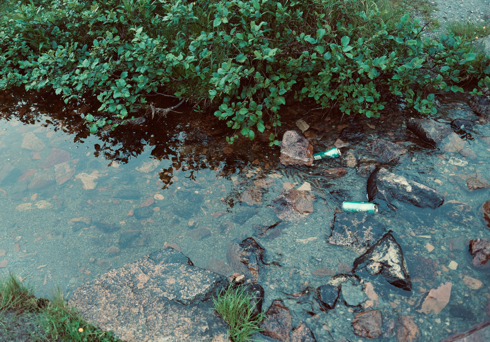 Beers cooling in a creek, Ferry Gulch, Gros Morne, Newfoundland
