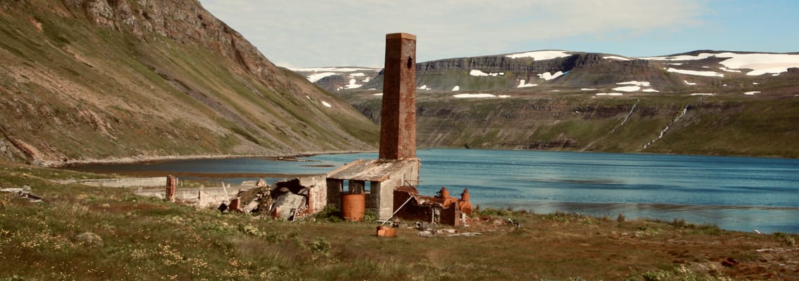 Whale processing