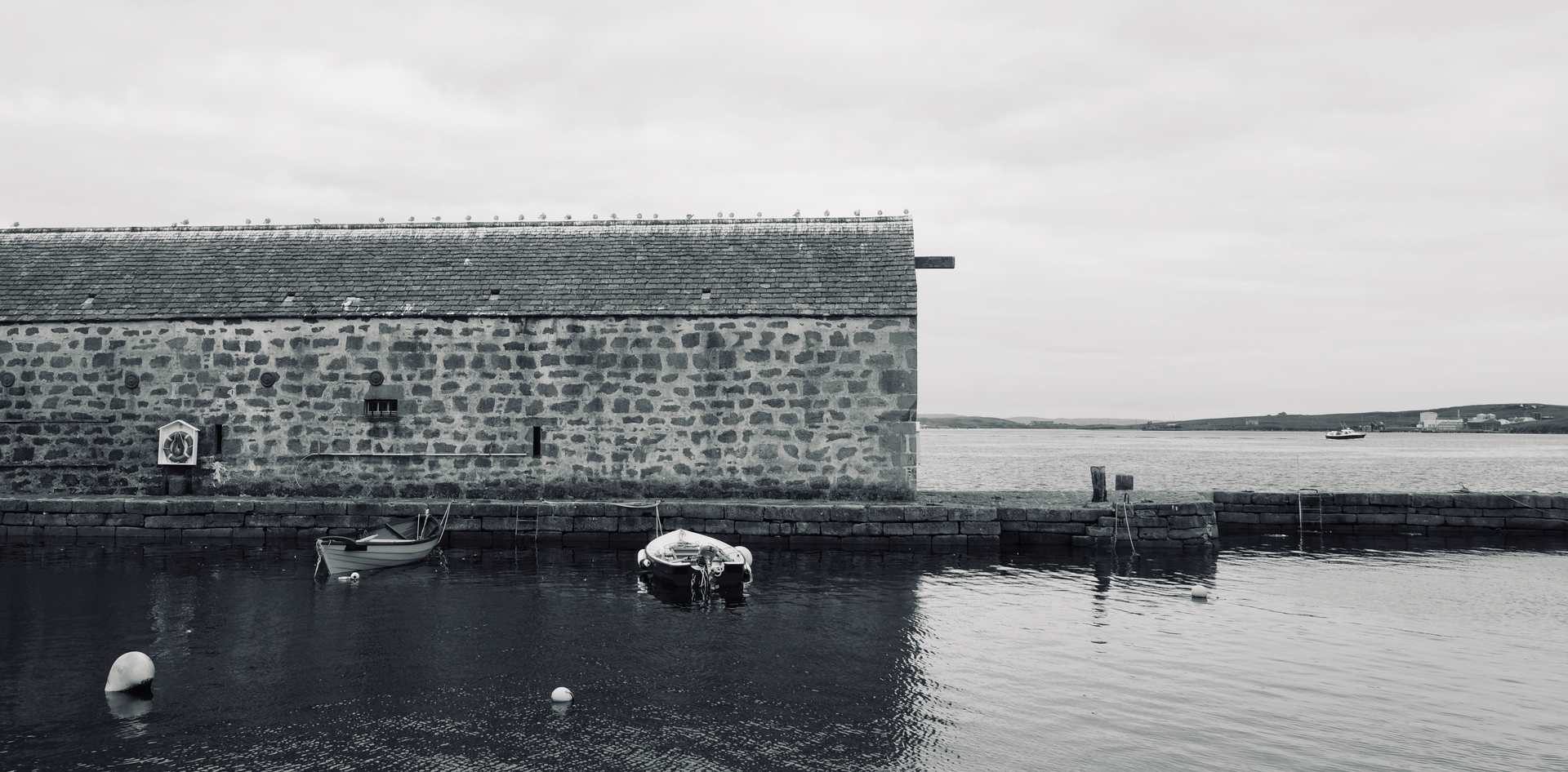 Dutch White at Hay's Dock