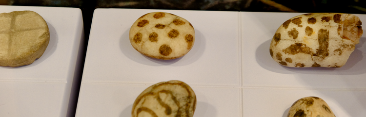 Painted stones, Shetland Museum and Archives 