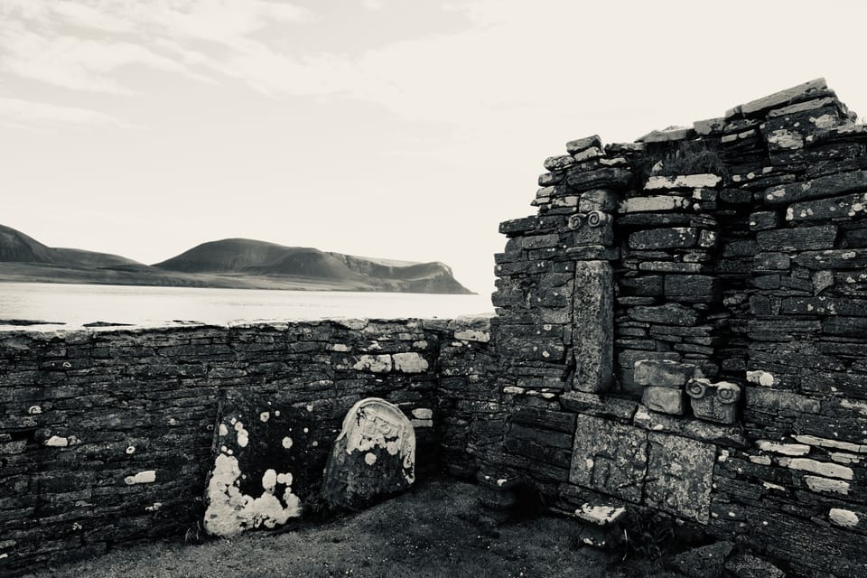 The Warebeth Oystercatcher and the Medici Giraffe